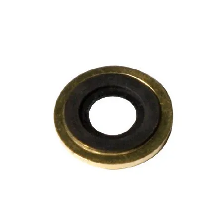 Sunset Healthcare - RES035 - Brass Washer