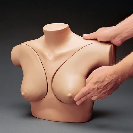 Nasco - SB32869L - Breast Self-Exam Simulator