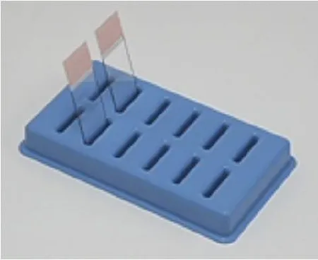 Fisher Scientific - 22038396 - Slide Holder 6-5/8 X 3-7/8 X 7/8 Inch, Blue, Polypropylene For Drying / Draining Slides